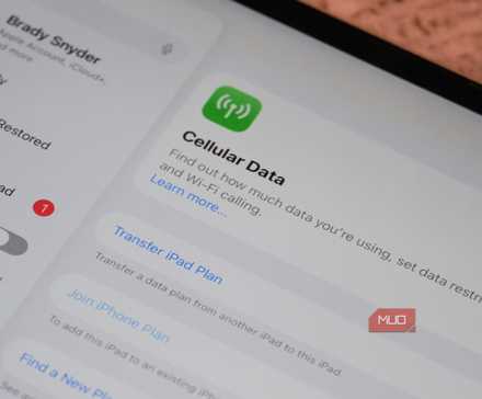 Cellular data page in Settings on iPad Pro.