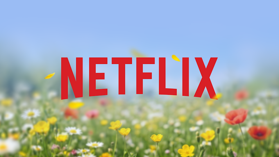 The red Netflix logo sits on a pale field of colorful wildflowers under a blue sky.