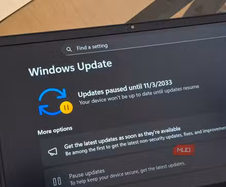 Windows 11 update settings open on HP laptop