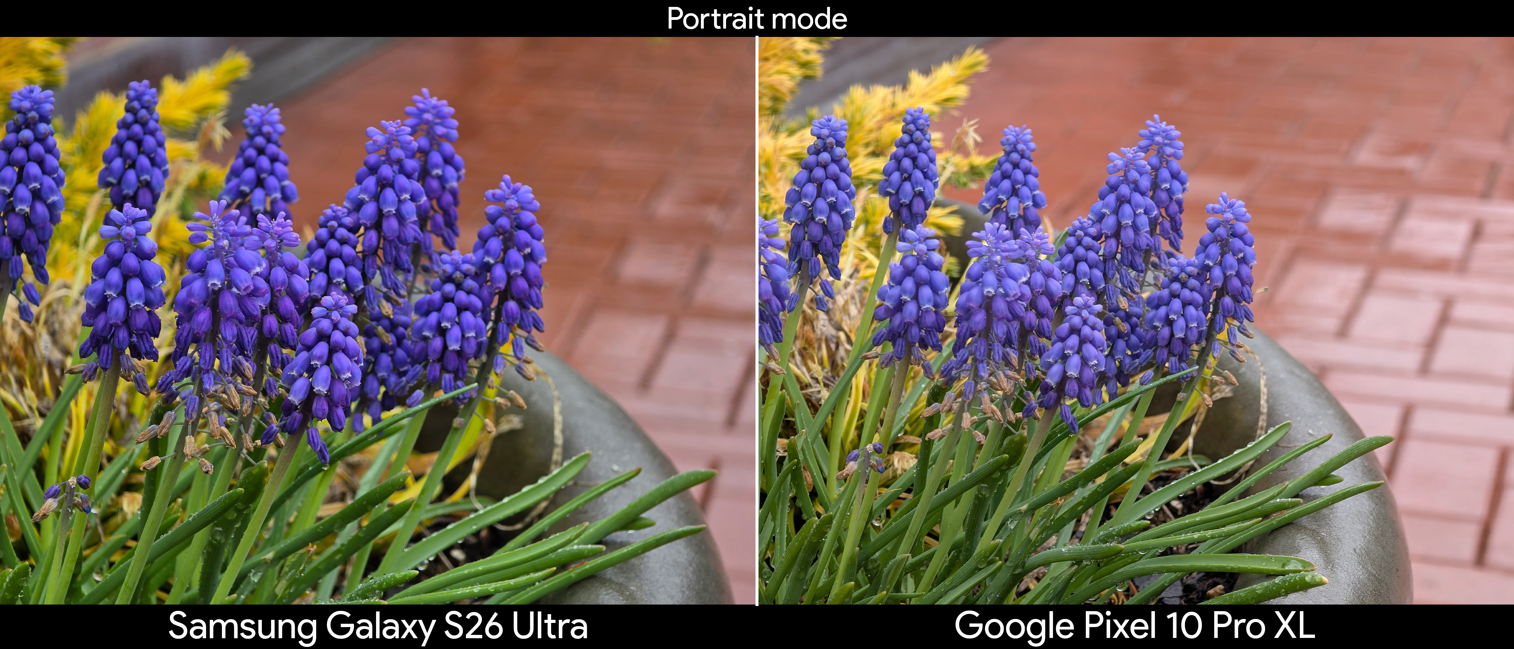 Samsung Galaxy S26 Ultra portrait camera models