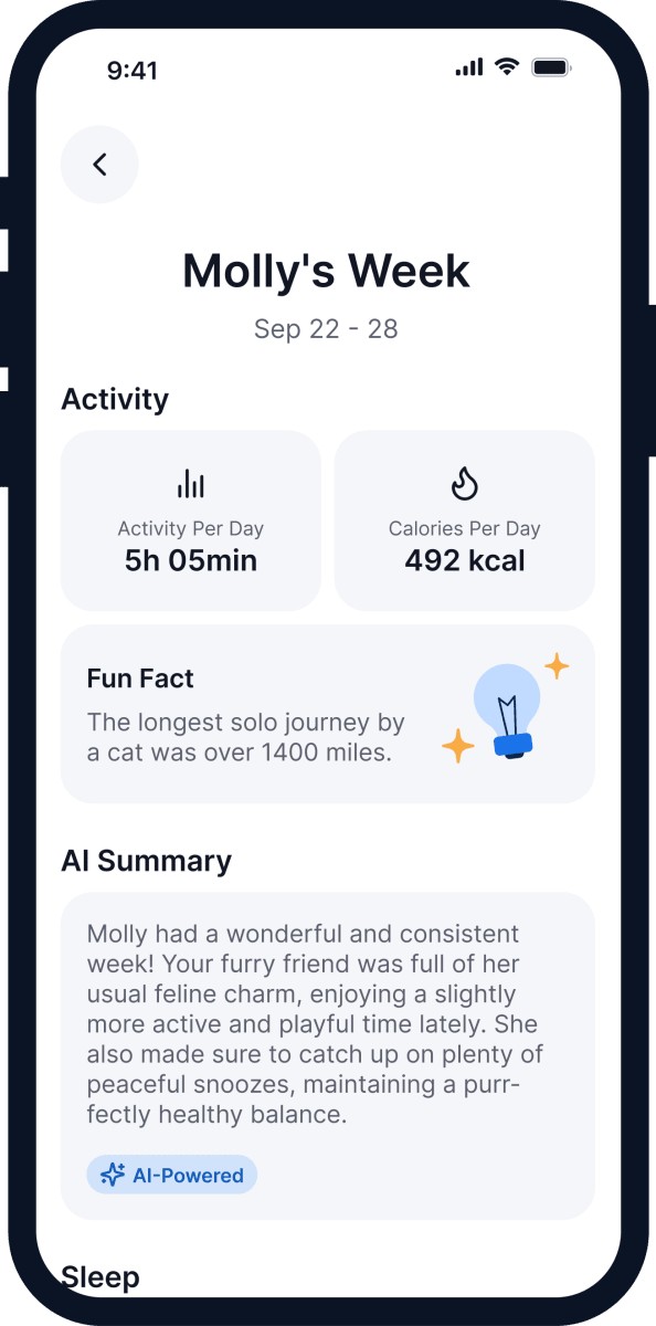 An overview of the app's AI functionality