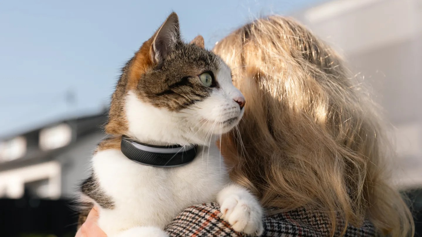 Pet trackers - a cat on a woman's shoulder